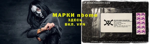 индика Тобольск