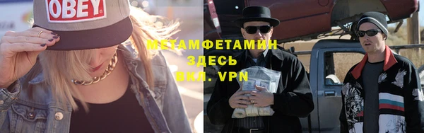 шишки Дмитровск