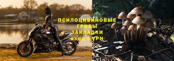 мескалин Елизово