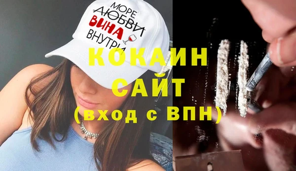индика Тобольск