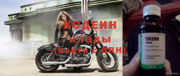 индика Тобольск